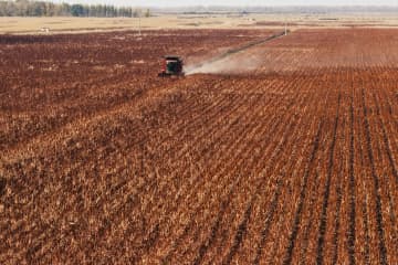 中国最大の穀倉地帯に豊作の風景　黒竜江省