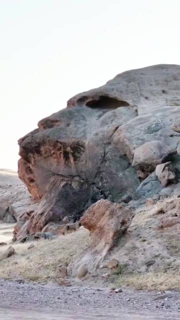 自然が生む奇跡、ゴリラの頭そっくりの巨岩　中国内モンゴル自治区