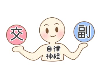 睡眠の質を高めるために副交感神経も高めると良いワケ【１週間で勝手にぐっすり眠れる体になるすごい方法】