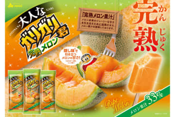 赤城乳業「大人なガリガリ君完熟メロン」発売。メロン本来のジューシーな甘さ