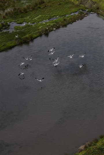 立木義浩写真展：禍福は糾える縄の如し