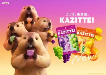 リアルな巨大「カジる！マーモット」が街に出没!?ロッテの新グミ「KAZITTE!」ゲリラ配布イベント