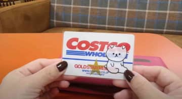 【セリアアイデア商品】免許証やマイナカードの個人情報をガード！110円の「カード保護スリーブ」2選