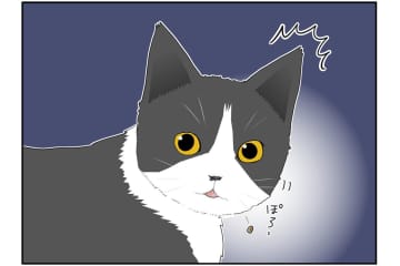 【マンガ・老猫日誌＃32】猫、つまみ食いをする。18歳の元保護猫・桃姐