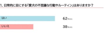 犬が排泄の前後にクルクルする理由　犬が見せる“不思議行動”を獣医師が解説
