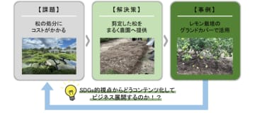 【丸亀市】2025年版「世界の持続可能な観光地TOP100選」に選出