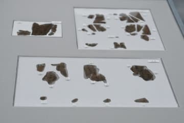 湖南省博物館が新たに子弾庫の戦国帛書を収蔵―中国