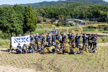 NOK、「水田オーナー制度」に協賛し 熊本事業場社員ら50人が「地下水を育む水田」の稲刈りに参加