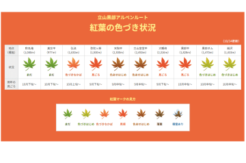 立山黒部アルペンルートの紅葉、タンボ平が黄金色に染まる