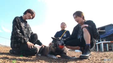 ROIROMが活躍犬に感謝を届ける新企画「動物スクープ100連発」で心温まる展開に