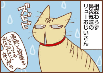 【吉川さん家の猫事情】#114話 長生きしたら猫又！？