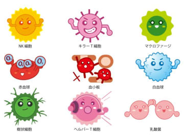 ノーベル賞研究がヒント！朝食からやさしく始める免疫バランス習慣
