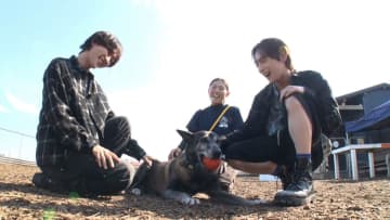 ROIROM・本多大夢＆浜川路己が人間と共に働いた“活躍犬”を労う新企画が始動『笑える！泣ける！動物スクープ100連発』