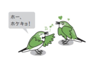 ウグイスの歌声はラブソングのときだけキーがちょっと高い！？【眠れなくなるほど面白い 図解 鳥の話】