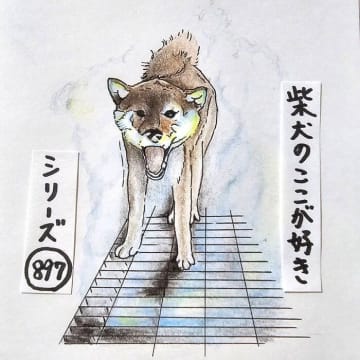 柴犬あるある、TPOに合わせたリアクションができるとこ｜連載「ここ掘れここ柴」vol.298