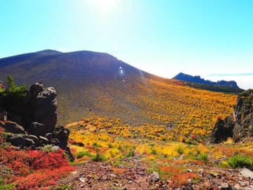 10月中旬から見ごろ！　黄金色に染まる百名山「浅間山」絶景レポ！　首都圏から公共交通機関で日帰りもOK