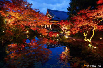 【通常非公開】紅葉と美しい庭園を眺める！京都・くろ谷 金戒光明寺「秋の特別拝観」を開催
