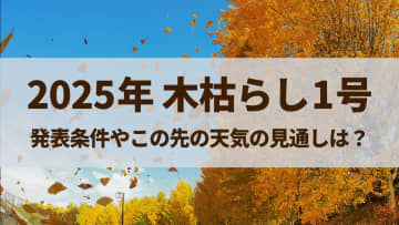 2025年の木枯らし1号はいつ吹く？木枯らしの発表条件やこの先の天気の見通しは？