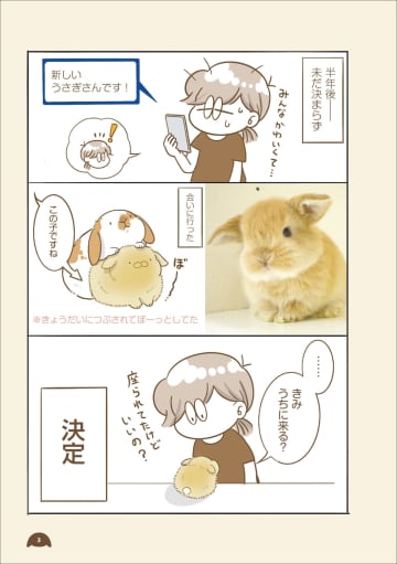 『変な家』の雨穴も大ファン　うさぎの”うにまる”との穏やかな日々を描いた『うちのうさぎは今日ものんびり』