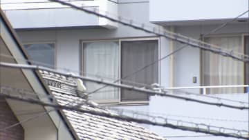 元施設職員の20代男の身柄確保…防犯カメラにフードとマスクを着用した不審な人物　埼玉・鶴ヶ島市老人ホーム高齢女性2人死亡事件