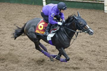 カムニャック、2冠へ「万全」　競馬の秋華賞追い切り