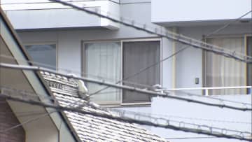 「刃物で刺して殺したことは間違いない」89歳女性殺害容疑で逮捕の元職員・木村斗哉容疑者（22）供述　埼玉・鶴ヶ島市老人ホーム2人殺害