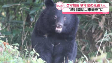 「緊急銃猟」でクマ駆除　施行開始後、全国で初　宮城・仙台市