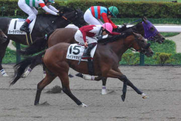 初勝利がかかったルーキー谷原柚希は惜しい2着…女性ジョッキー結果