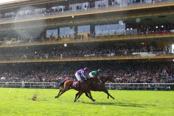 ジャパンカップとチャンピオンズカップに海外から計23頭が予備登録…愛ミニーホークなど