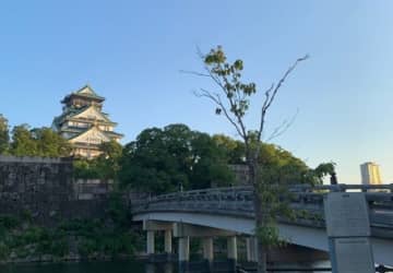 【旅するランニング日記】大阪・神戸・広島・沖縄の朝ランスポット～国内編2～