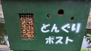 「下を向いて歩く子供」日立市の動物園で増加中？　カワイイ〝理由〟に7.5万人感心「作った人頭良すぎ」