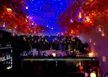 秋のイルミネーションイベント『キャンドルと紅葉 2025』吉祥寺の「夜カフェ・夜パフェ SUN Tama Bar」で開催中！　天の川イメージのLEDイルミネーションと赤く色付いた紅葉で幻想的な秋の夜長を表現