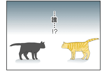 【マンガ・老猫日誌＃34】猫、互いの存在を忘れる？ 18歳の元保護猫・桃姐