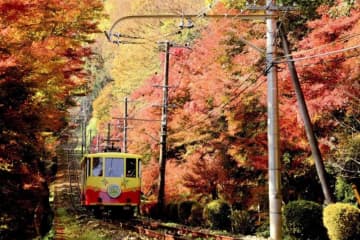 【2025年版】関東の紅葉スポット10選！東京から日帰りで