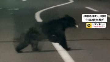 【映像】道路横断して住宅街に向かうクマの姿　秋田と福島で人身被害相次ぐ…80代女性顔引っかかれ搬送されるなど5人けが