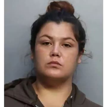 殺人罪で勾留中の女が性的関係なく妊娠…米フロリダ州の刑務所で起きた“奇跡”の真相
