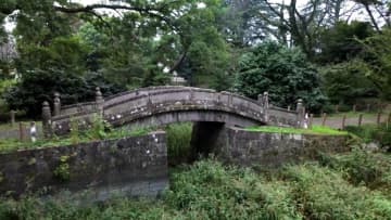 【独自】「徳川氏発祥の寺」の池が“ジャングル化”　住職の激怒に市が謝罪も“原因”の史跡修復には隔たりか　群馬・太田市