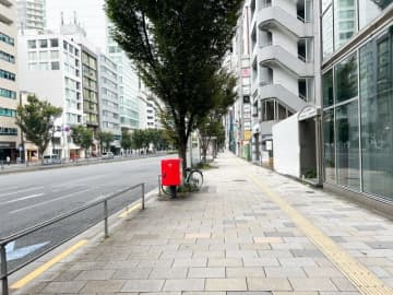 【表参道】緑いっぱいの癒し空間で楽しむ、「i2 cafe」のフレンチトーストモーニング