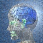 今あなたに問いかける。AIを使いこなしていますか？