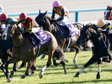【秋華賞】勝率100％！素直に信頼できるほぼ鉄板なの条件とは！？オークス組で見る攻略POINT