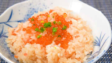 グルメすぎる玉ノ井部屋の福島県・相馬合宿に密着！だしの効いた絶品“はらこ飯”で腹ごしらえし 盆踊り大会で優勝なるか