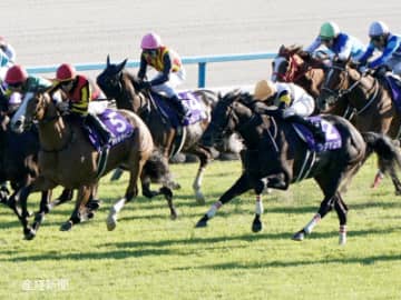 【秋華賞】上位人気なら買いたい馬と人気でも危険な馬とは！？成績で見る攻略POINT