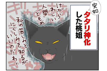 【マンガ・老猫日誌＃35】病院に連れて行ったあと荒れまくる猫…18歳の元保護猫・桃姐