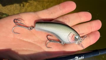 【秋のため池の高速サーチ】「徹底的に釣りたいときはこのルアー！」“SKM(スーパー高速マシーン)”で高活性のバスを一網打尽「投げ散らかすだけでOKです！」