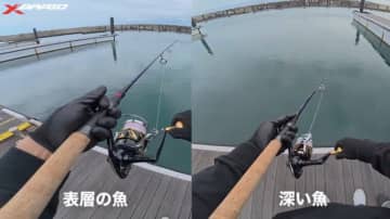 スレに強い新テクニック『ただ巻きメソッド』の全貌と必要なアイテムたち