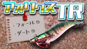 秘密はシャープ＆スリムヘッドにあり！新作ティップランエギ『アオリクスTR』で大型イカを直撃!!