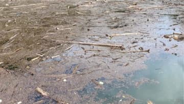 秋が深まり、ビッグフィッシュが狙える状況だったが、果たして…。「難しいですね」