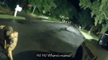 86歳女性が散歩から帰ってこない→窮地を救ったワンコがパトカーに近づいてきて……ヒーロー犬が話題「本当にいい子」