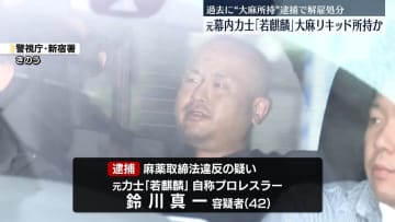 元力士「若麒麟」を逮捕　歌舞伎町で大麻リキッド所持か　警視庁