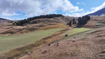 秋深く、絵画のように広がる絶景　中国・新疆昭蘇県